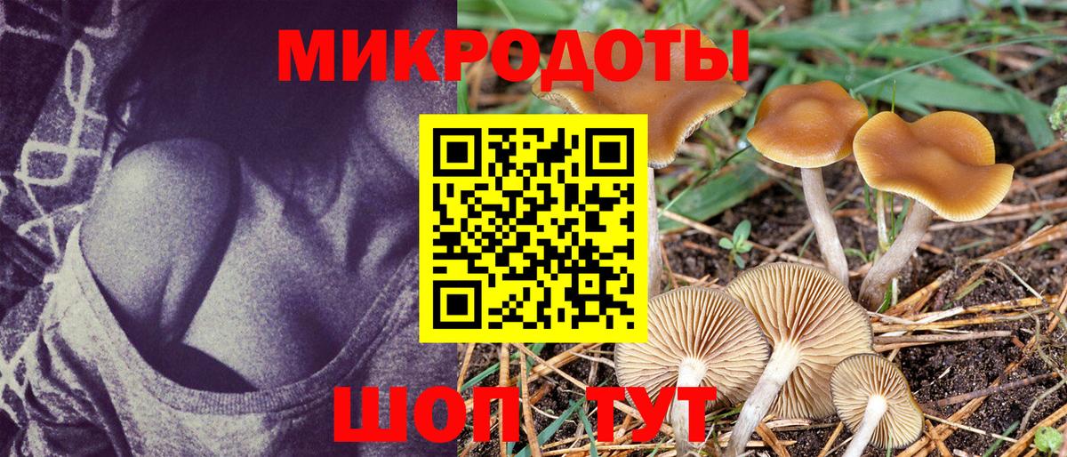 Псилоцибиновые грибы Psilocybe  Псилоцибиновые грибы GOLDEN TEACHER  Коммунар  Вход с VPN 